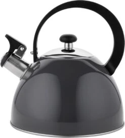 Florina Brillo Fluitketel 2,5L Voor Alle Warmtebronnen - Waterketel - Donkergrijs