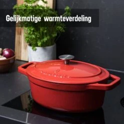 Daumonet Bocuse Rouge Gietijzeren Braadpan - Sudderpan Kersen Rood - Ovaal - Ø 29 Cm - 3 Liter - PFAS & PFOA Vrij - Emaille - Geschikt Voor Alle Warmtebronnen - Elektrisch - Gas - Halogeen - Inductie - Keramisch - Vaatwasserbestendig -Le Creuset Winkel 1200x1200 1371