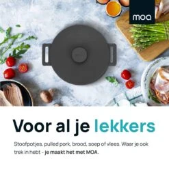 MOA Gietijzeren Braadpan - Inhoud 4,75 Liter - 26CM - Rond - Alle Warmtebronnen - Ook Voor Inductie - Gewicht 5,8 Kg - Zwart - MOAMC26B -Le Creuset Winkel 1200x1200 1420
