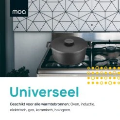 MOA Gietijzeren Braadpan - Inhoud 7,1 Liter - 29CM - Rond - Alle Warmtebronnen - Ook Voor Inductie - Gewicht 7,6 Kg - Zwart - MC29B -Le Creuset Winkel 1200x1200 1456