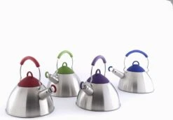 Haute Cuisine Zurich - Fluitketel