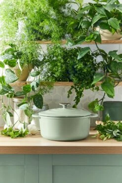 Tefal LOV Braadpan - 5L - Ø25 Cm - Groen -Le Creuset Winkel 800x1200 13