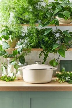 Tefal LOV Braadpan - 5L - Ø25 Cm - Beige 26 Tefal LOV Braadpan - 5L - Ø25 Cm - Beige -Le Creuset Winkel 800x1200 29